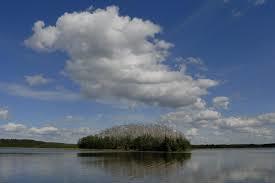 Warnołty